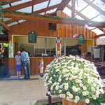 Der Biergarten im Kirchheimer Hirschgarten